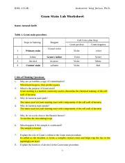 Worksheet Microbiology Gram Stain Updated Docx BIOL 1112K Instructor