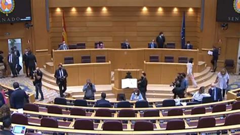 En Directo Pedro S Nchez Comparece En El Pleno En El Senado