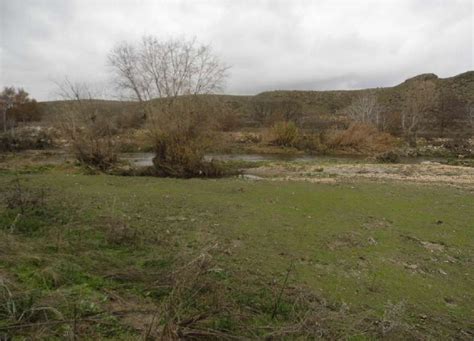 Ecologistas en Acción de Getafe presenta un proyecto de