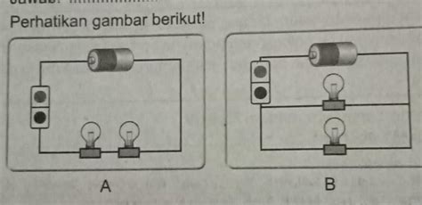 Pelajaran Ipaperhatikan Gambar Berikutapakah Perbedaan Di Antara