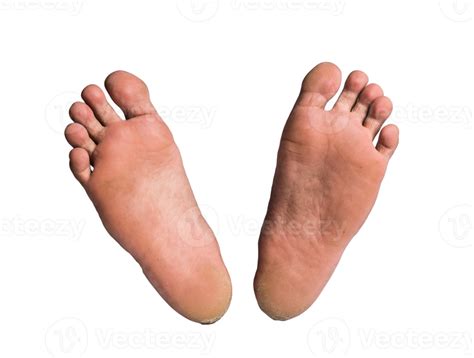 Foot Or Pair Of Bare Feet On Isolated Background 8508318 Png