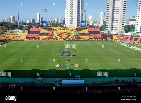 Pe Recife Brazilian A Sport X Palmeiras