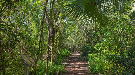 Secret Woods Nature Center Fort Lauderdale Florida Hikes