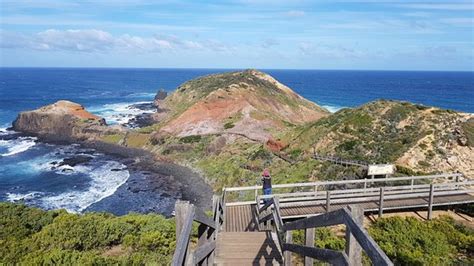 Cape Schanck Boardwalk Flinders Top Tips Before You Go Updated 2017