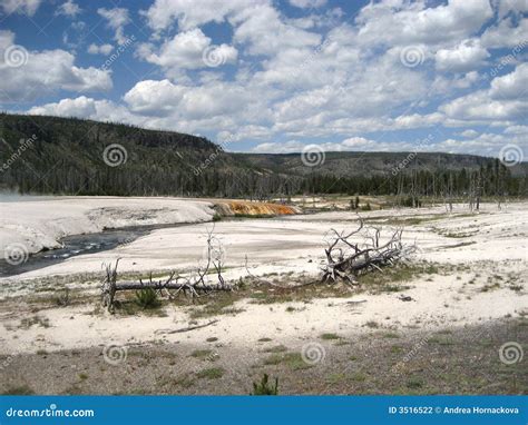 Old Faithful Geyser Basin stock photo. Image of trip, trails - 3516522