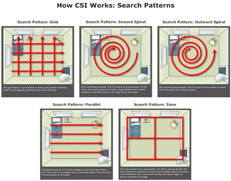 Crime Scene Search Patterns Worksheet