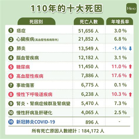 110年十大死因公布三大疾病致死人數增加新冠僅排第19名 Heho健康