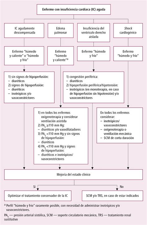 Insuficiencia cardíaca aguda Insuficiencia cardíaca Enfermedades