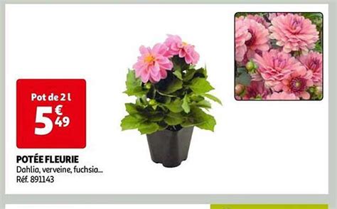 Promo Pot E Fleurie Chez Auchan Direct Icatalogue Fr