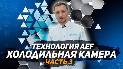 Холодильная камера акустической заморозки. Технология AEF. Производство ...
