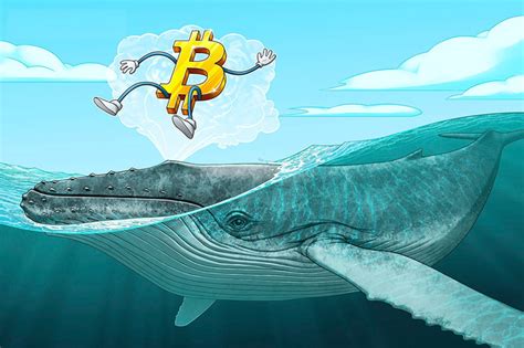 Bitcoin Price In Classic Bull Pennant Breakout As Btc Whales Go On