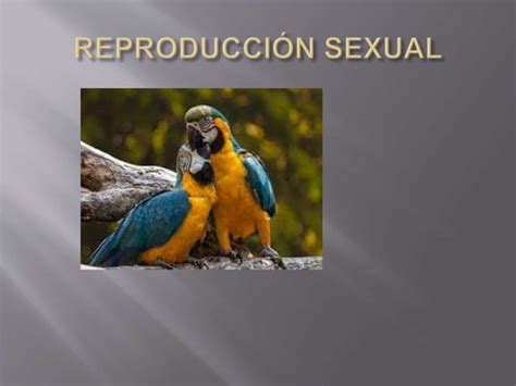 La reproducción sexual humana Aspectos generales para bachillerato