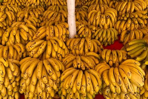 3 Kabupaten Penghasil Pisang Terbesar Di Kepulauan Riau Karimun