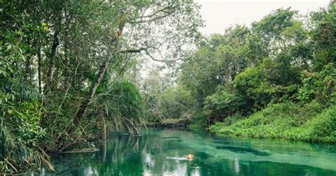 Reserva Particular Do Patrim Nio Natural Biodiversidade Em