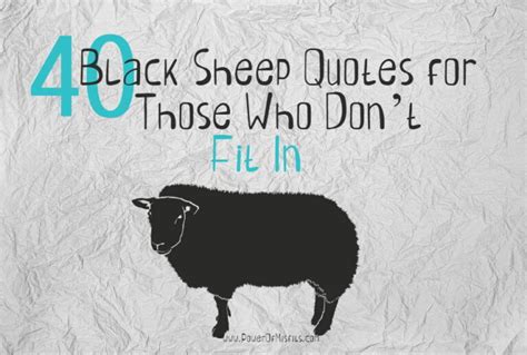 40 Black Sheep Quotes For Those Who Dont Fit In