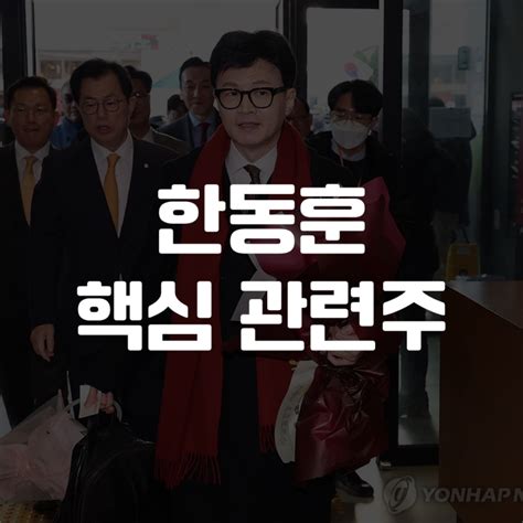 정치 테마주 한동훈 관련주 전망 최근 테마 수익률 확인 부방 대상홀딩스 대상홀딩스우 오픈놀 덕성 덕성우