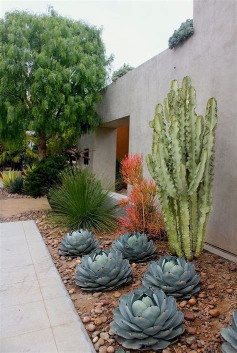 Atr Vete Con Los Cactus Inspiradoras Decoraciones Para Patios Y