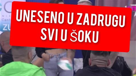 UNESENO OVO U ZADRUGU SVI U ŠOKU YouTube