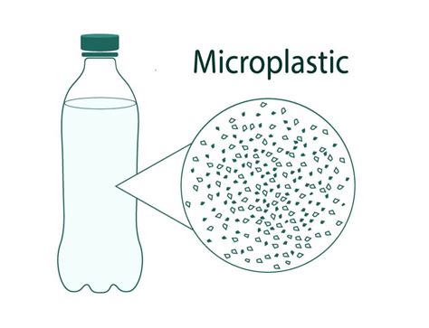 Microplastic In Water Bottles How Dangerous Is It