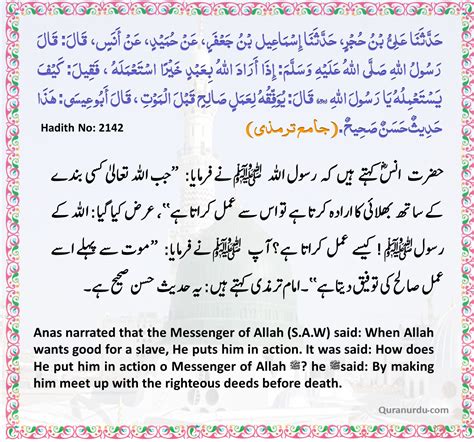 Daily Quran And Hadith 23 Safar 1445 8 Sep 2023 Daily Quran And