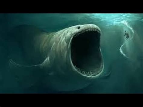 всё про блупа - YouTube