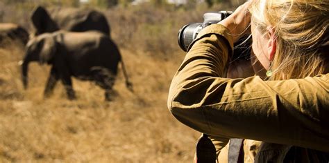 Everything You Need To Know About Africa Photo Safaris