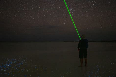 Qu Es La Bioluminiscencia Y C Mo Ocurre Vip Holbox Experience