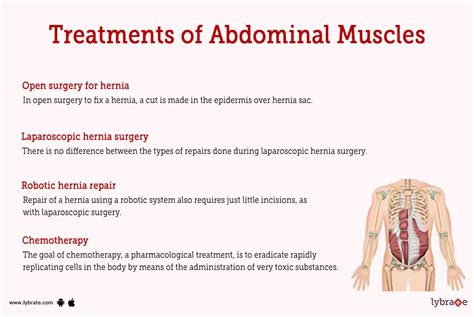 Abdominal Muscles Human Anatomy Picture Functions Diseases And