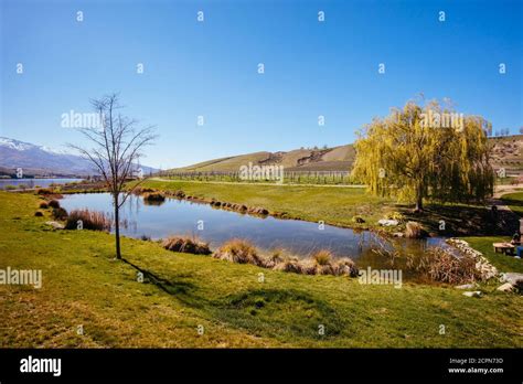 Cloudy Bay Winery in New Zealand Stock Photo - Alamy