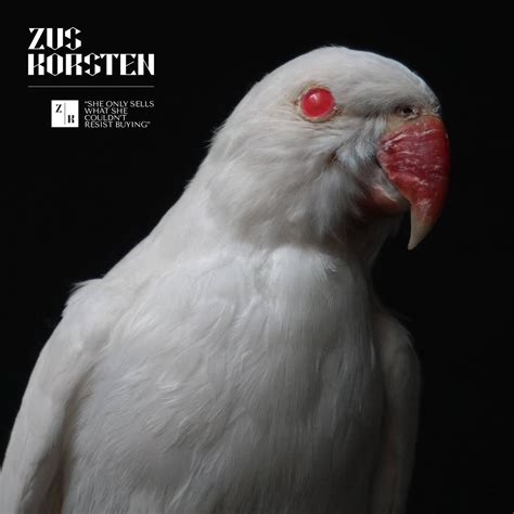 Rare Collection Of Taxidermy Albino Birds At 1stdibs