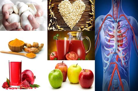 Los 10 Mejores Alimentos Para Limpiar Nuestras Arterias Hot Sex Picture