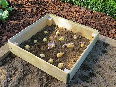 Diy Project Build A Vertical Spud Stacker For Growing Potatoes For