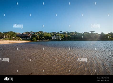 Traditional Buildings In A Forest By A Lagoon On The Swahili Coast