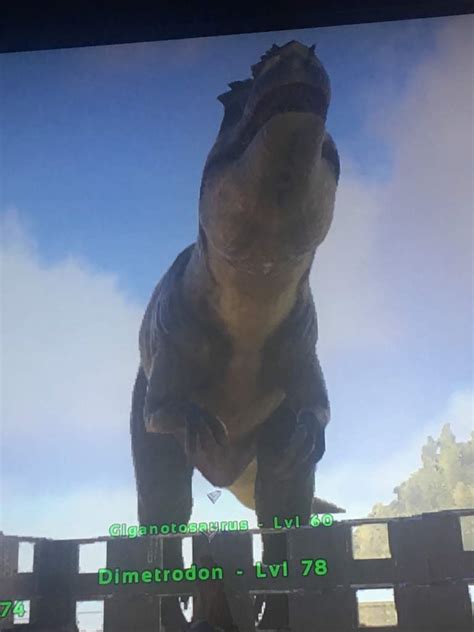 Mastercraft Giga Saddle + Giga | Ark Survival Evolved Amino