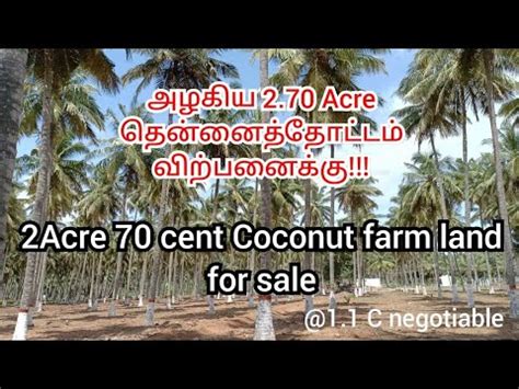 Sold Agri Land 130 அழகய 2 70 Acre தனனததடடம வறபனகக 2Acre