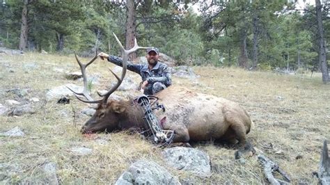 Wyoming Elk Hunting