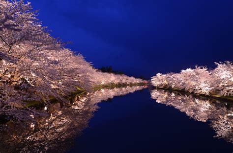 弘前さくらまつりイベント公式青森県観光情報サイト Amazing AOMORI