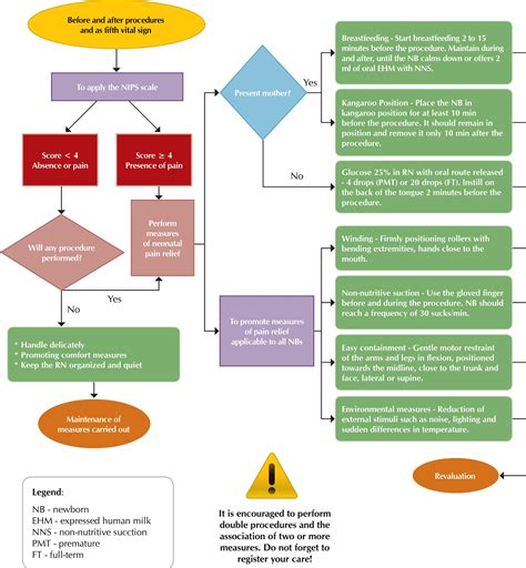 SciELO Brazil Assistance Flowchart For Pain Management In A Neonatal