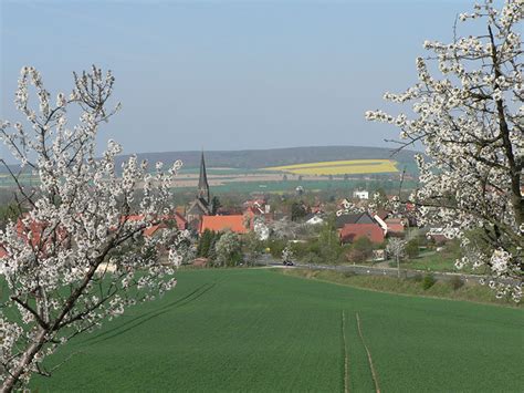 LIEBENBURG Regionalverband Harz E V