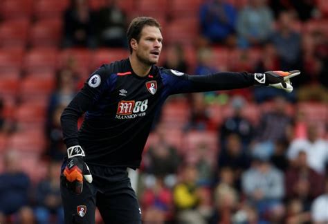 Afc Bournemouth Squad Team All Players 20182019