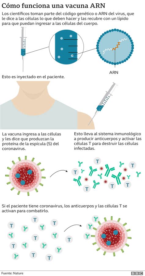 Vacuna Contra El Covid 19 Reino Unido Se Convierte En El Primer País