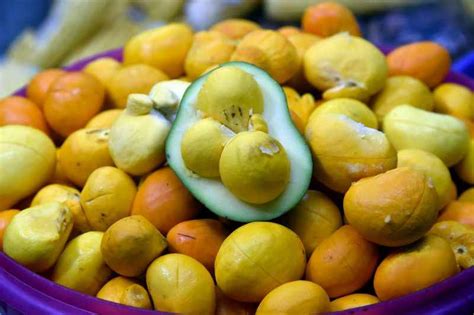 O Pequi O Ouro Do Cerrado Pode Fazer Muito Bem Para A Sua Saúde