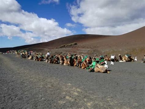 Lanzarote S Dliche Tour Im Nationalpark Timanfaya Getyourguide