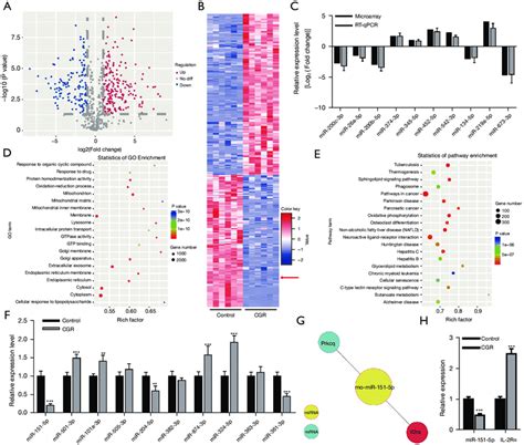 Integrated Analysis Of Differentially Expression Mirnas And Mrna A