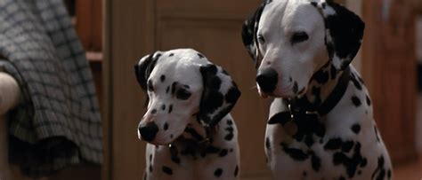 Image - Pongo-and-Perdita-1996-1.png | Disney Wiki | FANDOM powered by Wikia