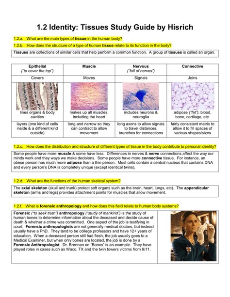 Identity Tissues Study Guide By Hisrich