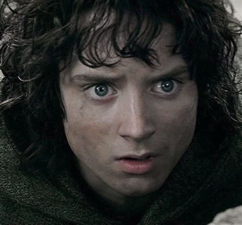 194 best Frodo Baggins images on Pinterest | Frodo baggins, Lord of the ...