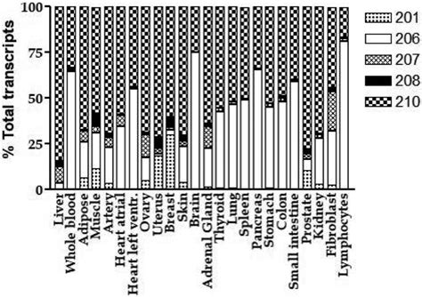 Relative Expression Levels Of Different Transcripts In 24 Human Tissues