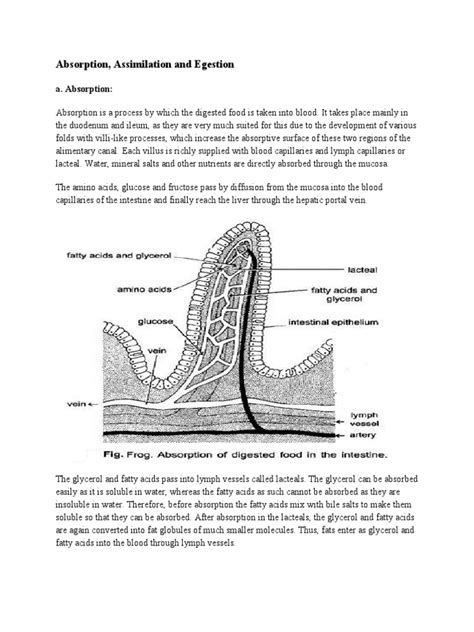 Absorption Assimilation and Egestion | PDF