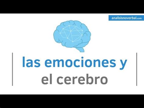 Las Emociones Y El Cerebro Youtube